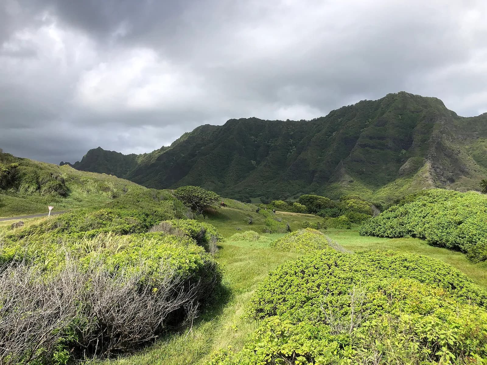 Kaʻaʻawa Valley, Kualoa Ranch, Oahu, Hawaii, USA — filming location for Jurassic Park